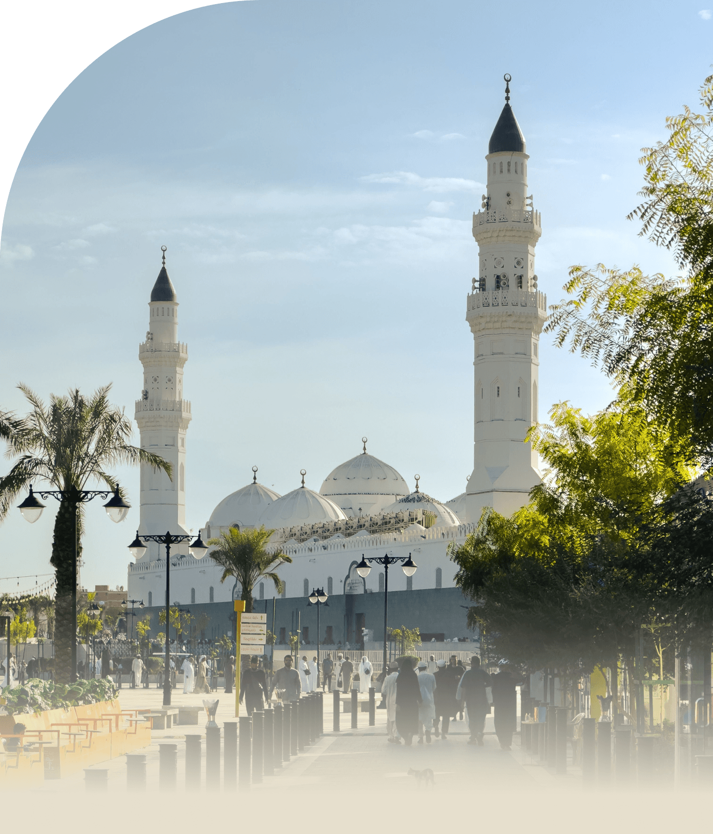 Visitors walking the palm-lined approach to Masjid Quba